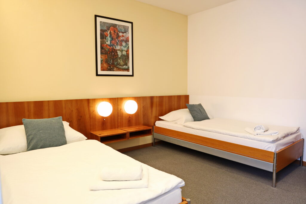 Hotel Maxim Svätý Jur jednopostelová izba 02